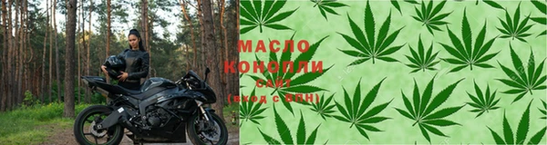 сатива Балахна