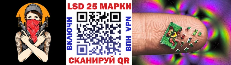 как найти закладки  Светлогорск  Наркотические марки 1500мкг 
