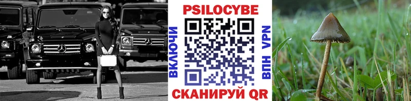 Галлюциногенные грибы мицелий  Светлогорск 
